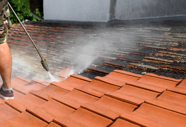 Best Roof Pressure Washing  in Ormond By The Sea, FL