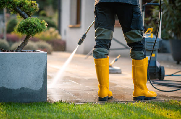 Best Sidewalk Pressure Washing  in Ormond By The Sea, FL